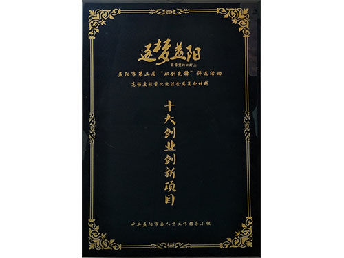 十大創業創新項目